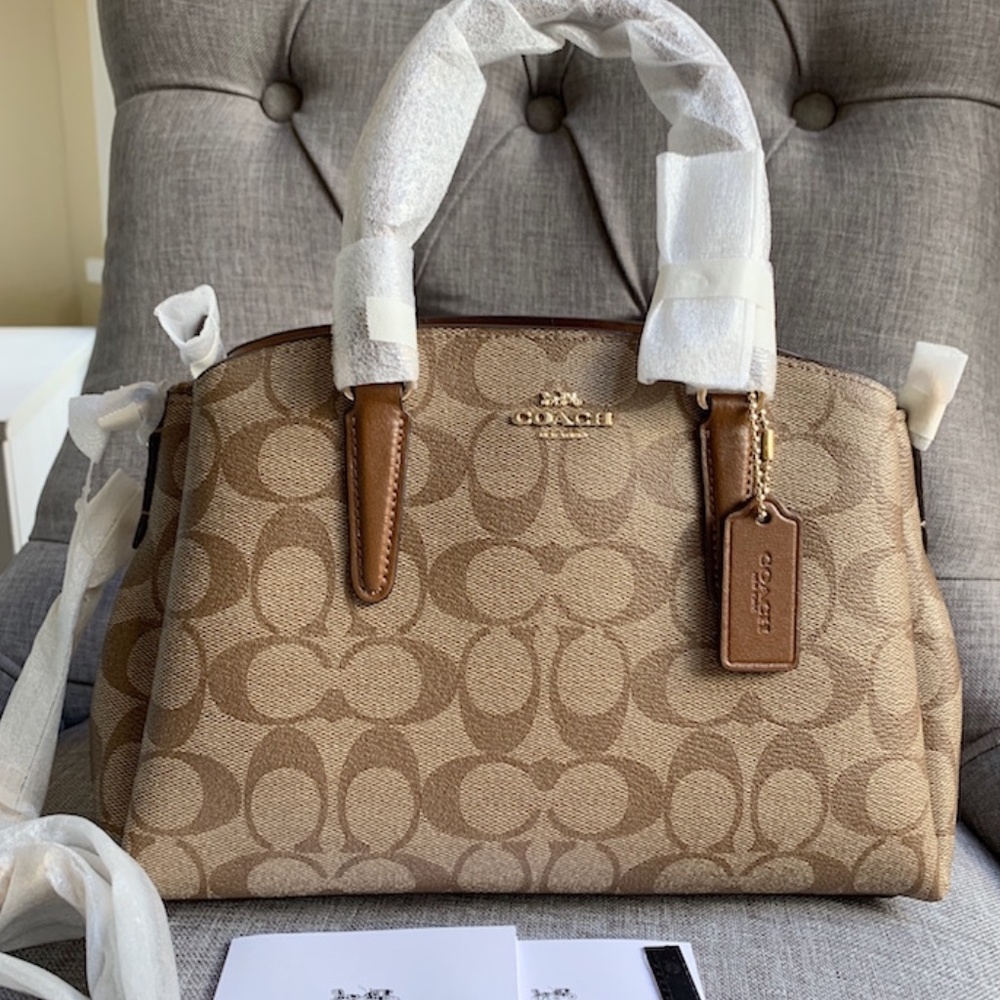 Coach Mini Sage Carryall In Signature Canvas